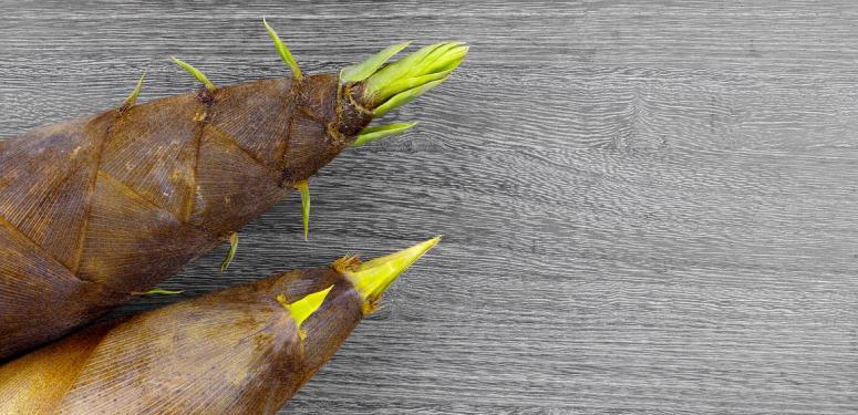 【春の食材】春が旬の野菜をオリーブオイルで堪能しよう！